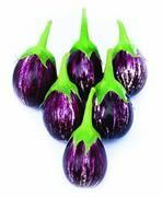 Brinjal