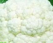 Cauliflower (Savita)
