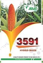 Maize