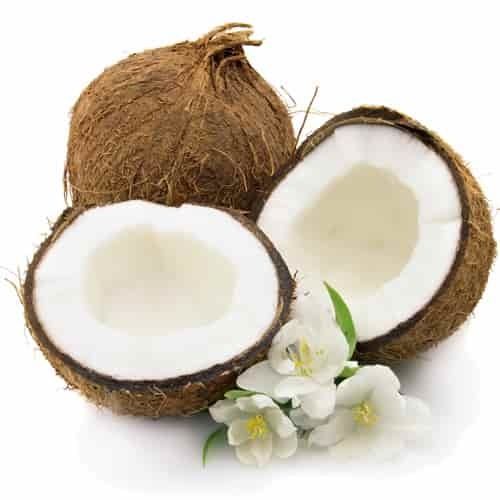 REGENT Coconut