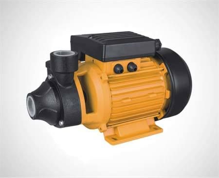 Vortex Peripheral Pump (Pm45/80)