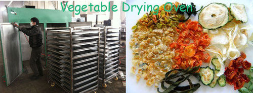 Multicolour Commercial Vegetable Dehydrator