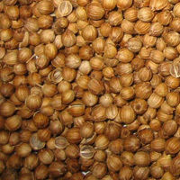 Coriander Seeds