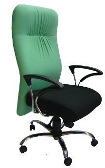 Flexible Office Chair
