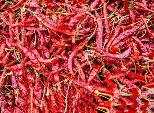 Dry Red Chilli