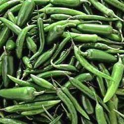 Fresh Green Chillies