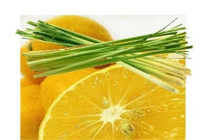 Lemongrass Oil