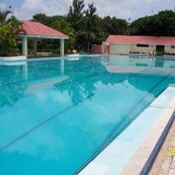 Silver Competitive Swimming Pools Construction Services