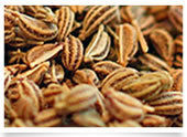 Ajwain Seeds Density: 52*52 Gram Per Cubic Meter (G/M3)