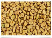 Fenugreek Seeds