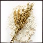 Wheat Flour