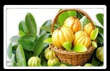 Garcinia Cambogia Extract