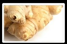 Ginger Herbal Extract