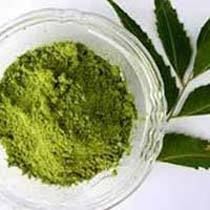 Neem Powder