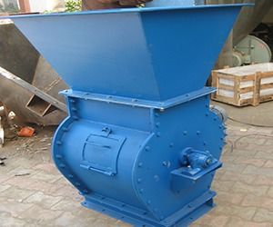 Bagasse Feeder