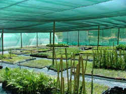 nursery shade net