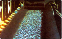 Oil Resistant Conveyor Belt