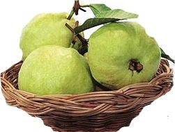 Organic Guavas