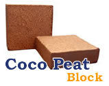 Coco Peat Briquettes