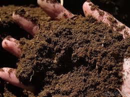 Brown Organic Fertilizer - Application: Agriculture