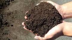 Premium Grade Soil Conditioner