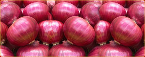 Fresh red onions