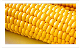 Yellow Corn