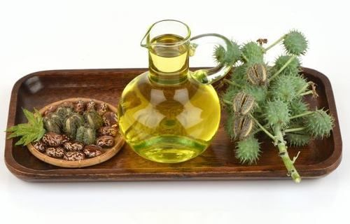 Castor Oil & Seeds