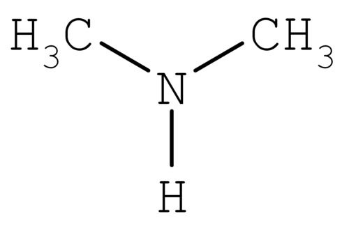 Dimethylamine