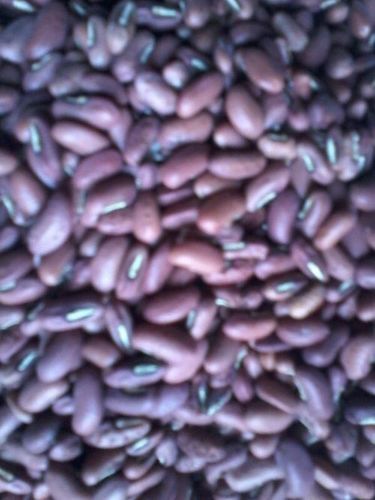 French Beans Seeds 
