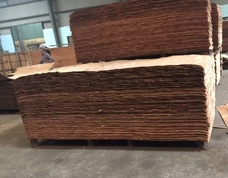 Eucalyptus Joint Core Veneer