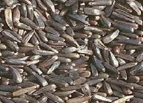 Niger Seeds