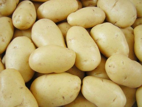 Fresh Potato - 100-150g Size, Top Grade Natural Yellow Skin, HACCP Certified Packaging