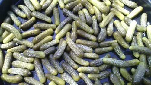 High Quality Gherkins In Acetic Acid