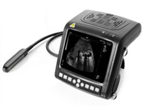 Veterinary Portable Wrist Ultrasound Scanner