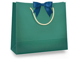 Comfortable Shopping Bag