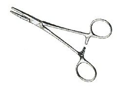 Mosquito Star CVD Forceps 