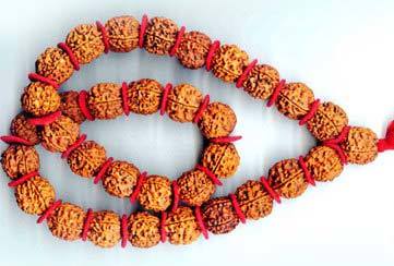 Rudraksha Kantha Mala