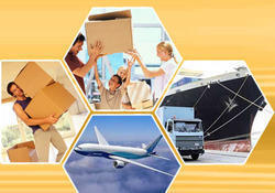 Transit Insurance Services By Sahara Relocation Packers &  Movers