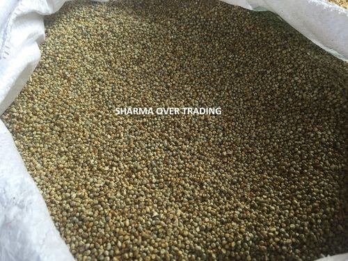 Green Millet