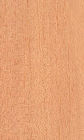 Indian Mahogany Natural Veneers