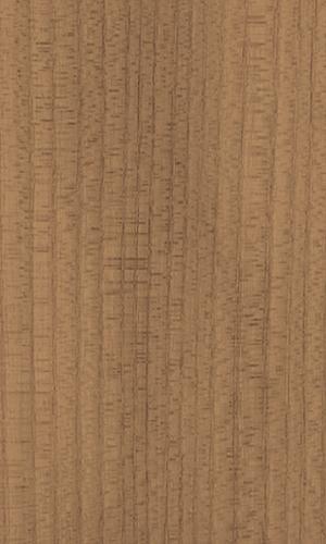 Red Elm Veneer