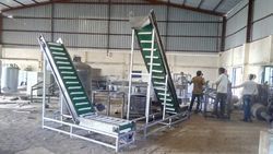 Cashew Feeding Conveyor