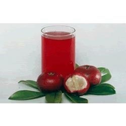 Kokum Syrup