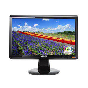 Computer Monitor (Asus)