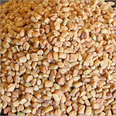 Indian Fenugreek Seed