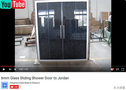 Shower Door