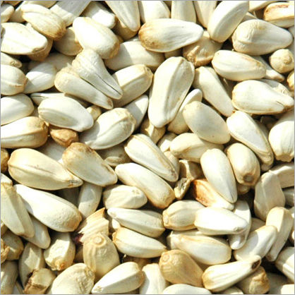 Sunflower Seeds 1