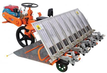 Row Paddy Transplanter