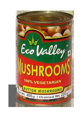 canned mushroom